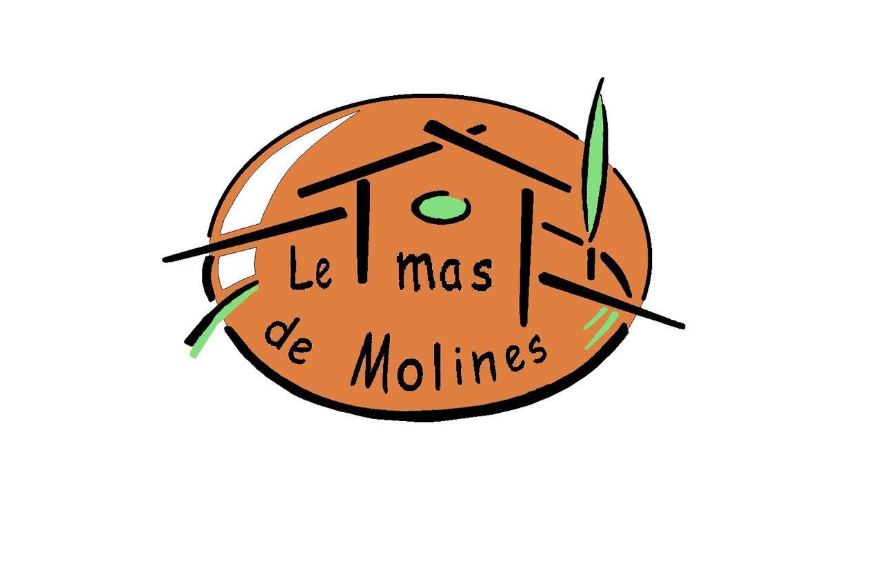 Gite Le Mas De Molines Vogüé Kültér fotó